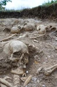 Viking Remains Discovered in Cambridge